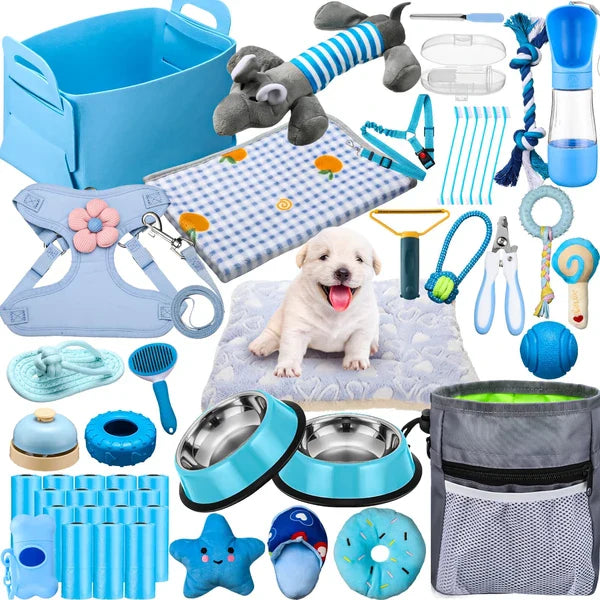 New Puppy Essentials