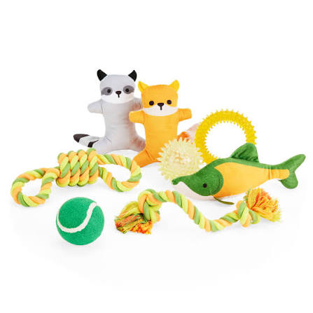 Toys and Play