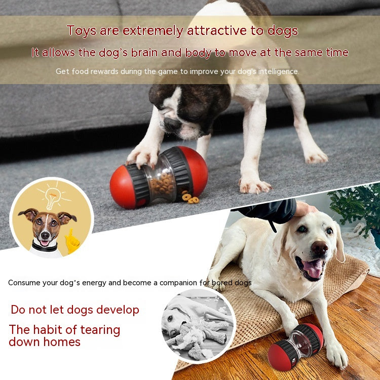 Tumbler Food Dispenser Toy